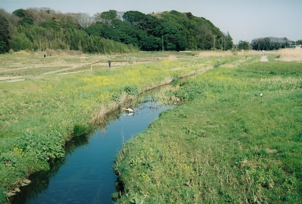 田園風景 (1)