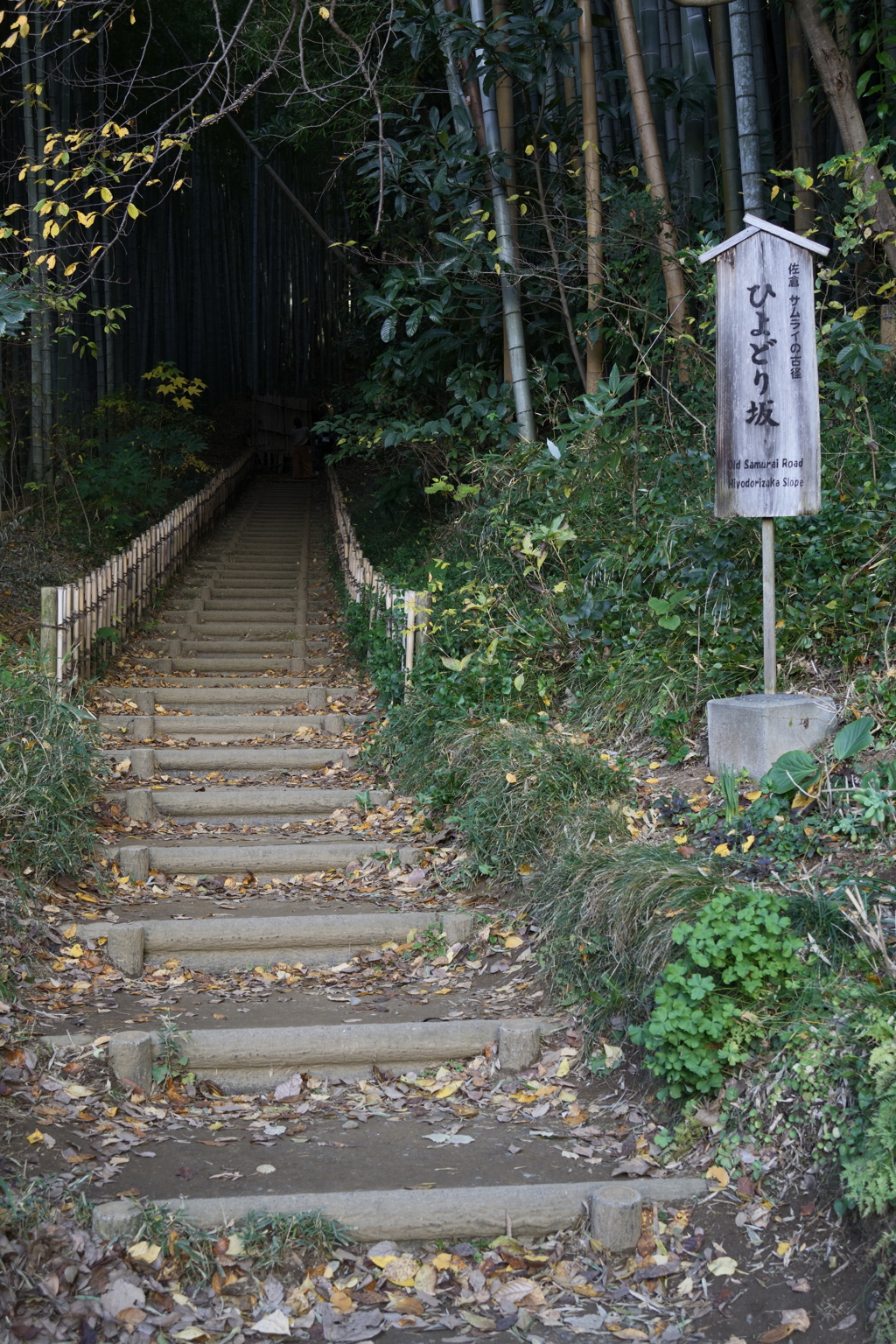 ひよどり坂（１）