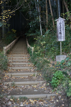 ひよどり坂（１）