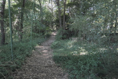 米本城址（２）