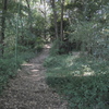 米本城址（２）