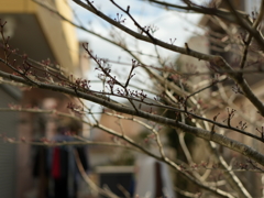 そして誰もいなくなった