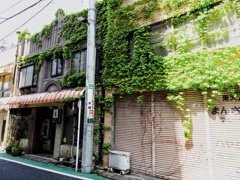 カレー屋さんの建物