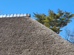 上総の農家の茅葺屋根