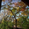 清水公園　紅葉