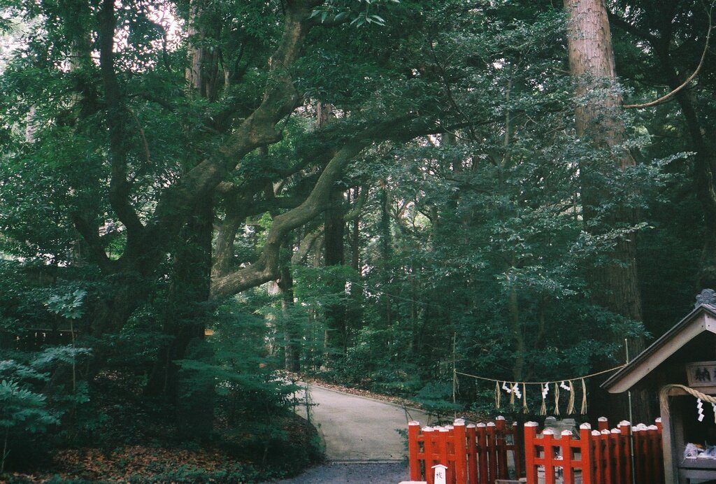 台方麻賀多神社２