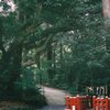 台方麻賀多神社２