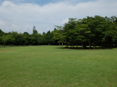 北総花の丘公園　E地区