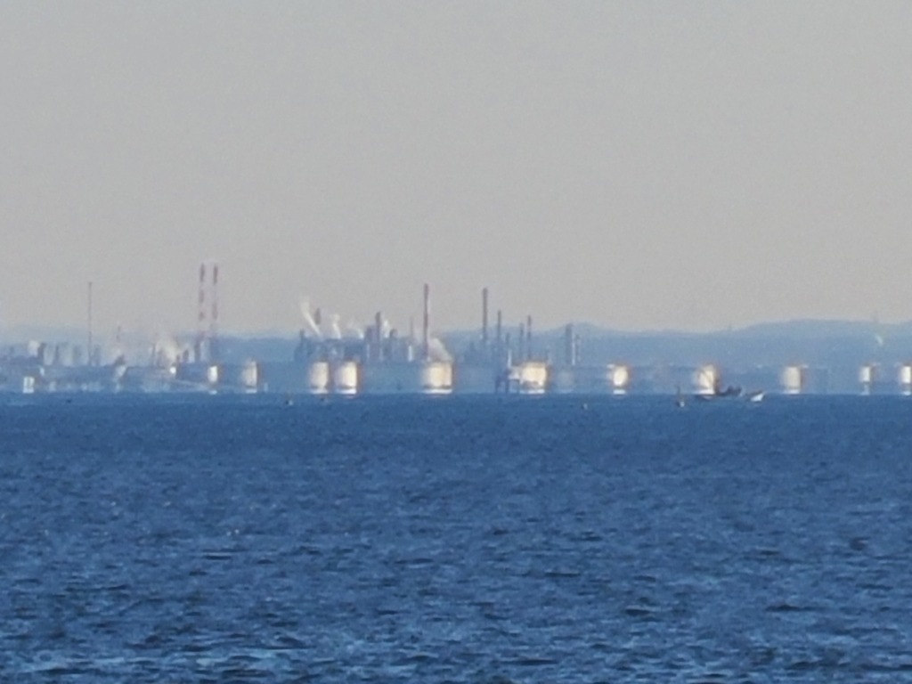 五井南海岸
