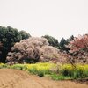 近づいてきました．