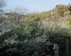 公園の春
