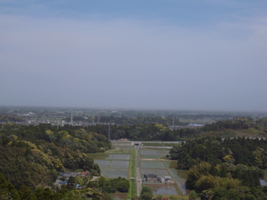 展望台から