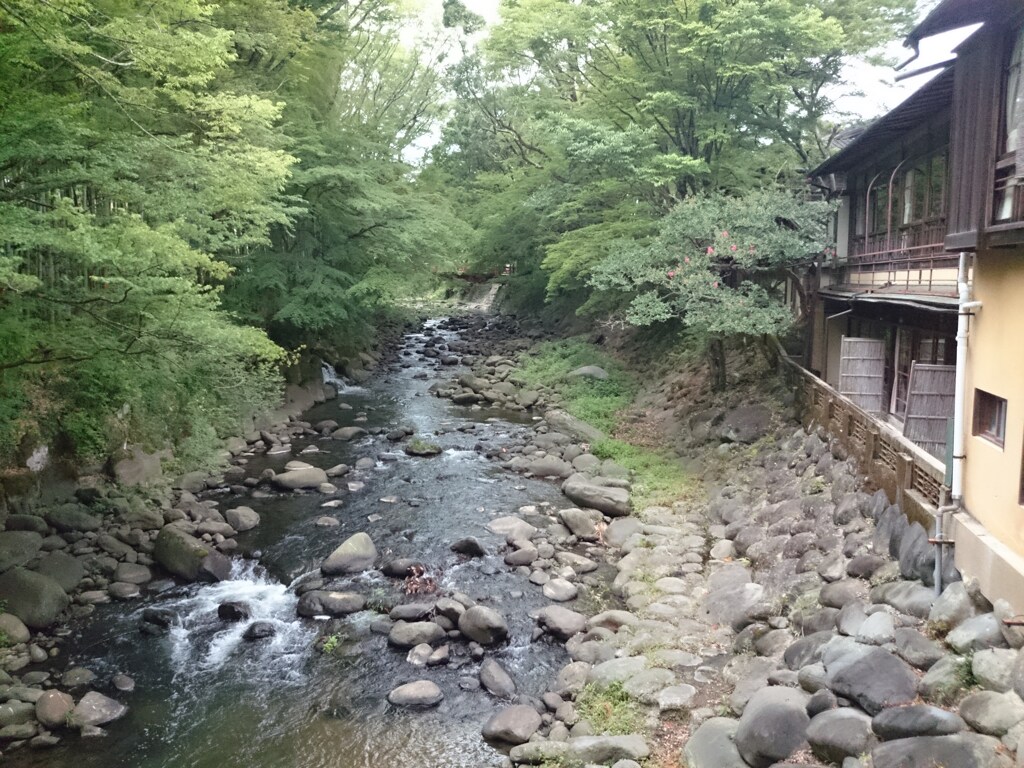 桂橋からの眺め