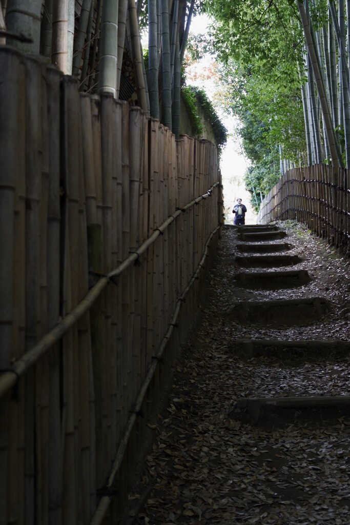 ひよどり坂（３）