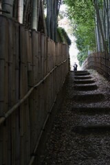 ひよどり坂（３）