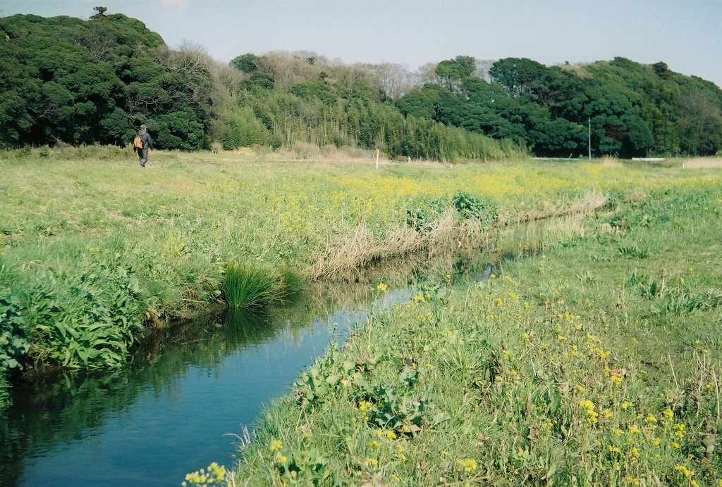 田園風景