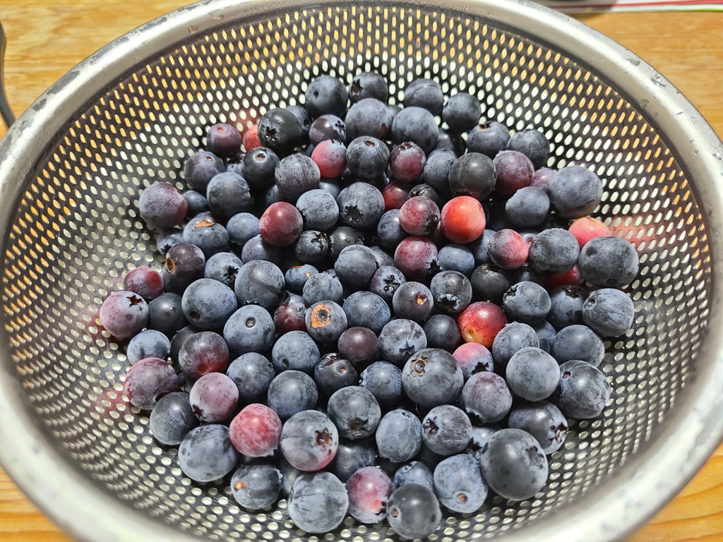 収穫５