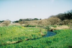 田園風景 (2)