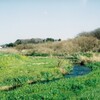 田園風景 (2)