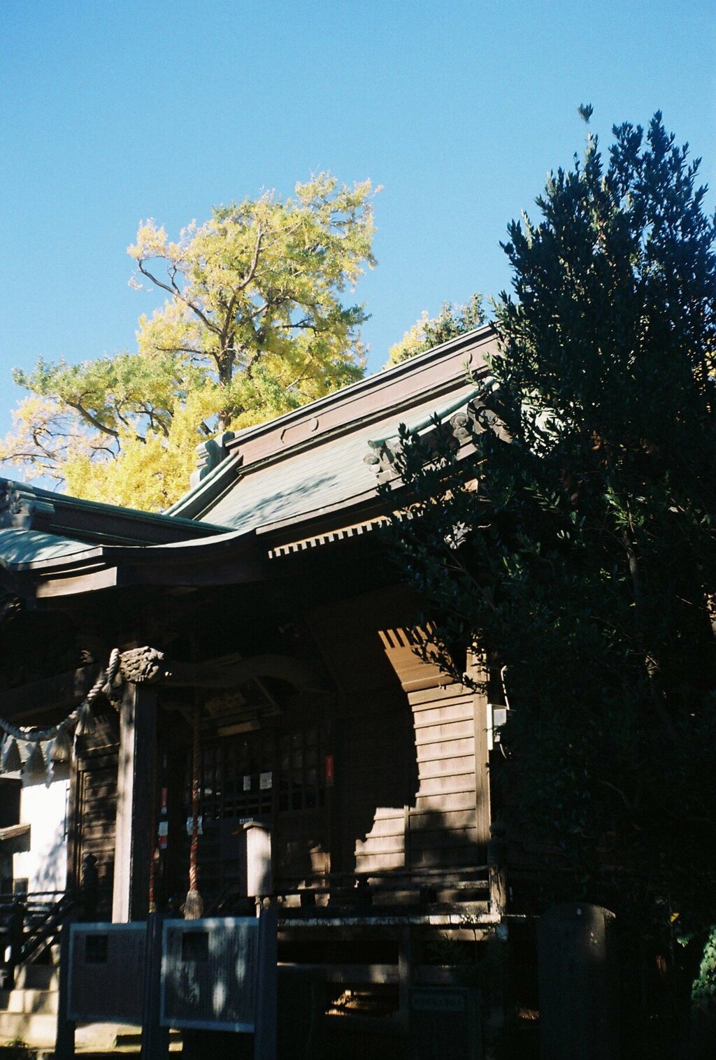 飯綱神社 (film2)