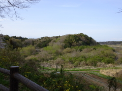 師戸城址の春（１）