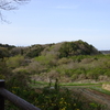 師戸城址の春（１）