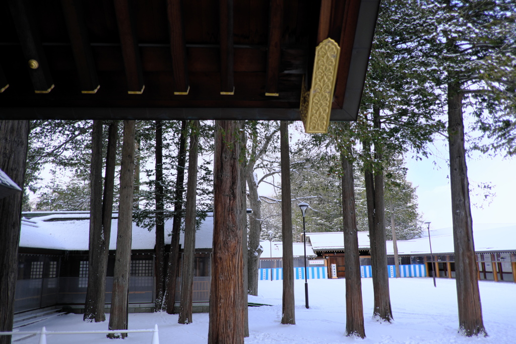 北海道神宮