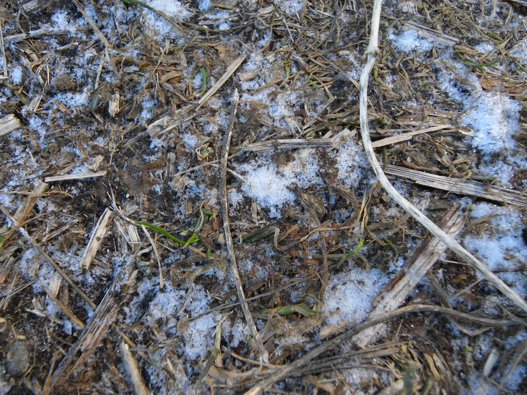 滑る散歩道（１）