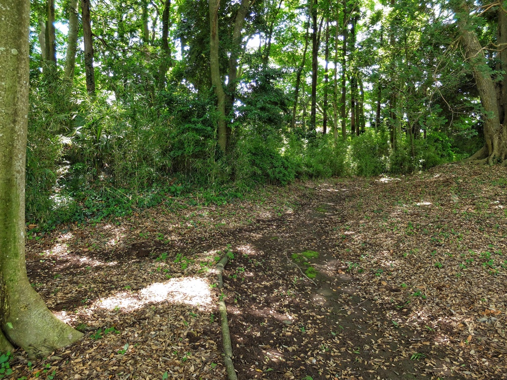 公園内の小さな散策路