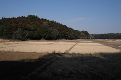 高田山城跡から