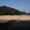 高田山城跡から