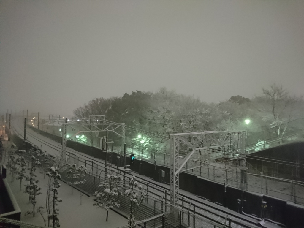郊外の雪