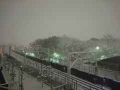 郊外の雪