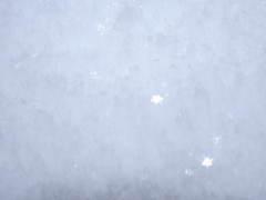 雪（３）