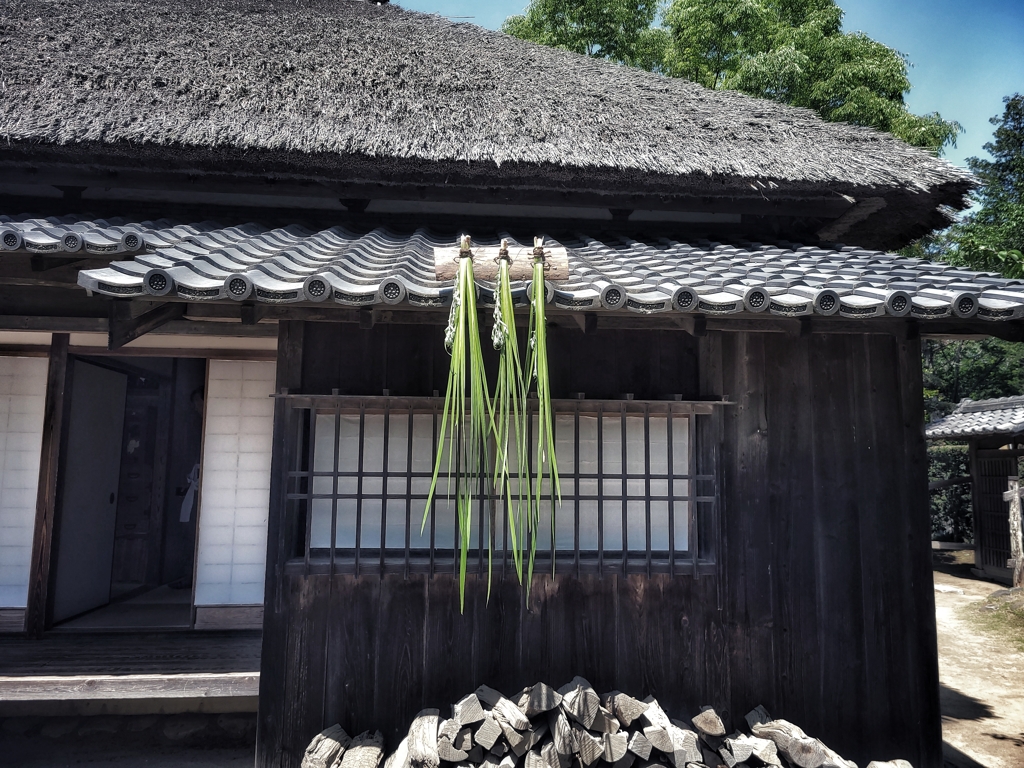 軒菖蒲