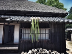 軒菖蒲