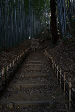 ひよどり坂（２）