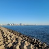 茜浜