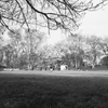 城址公園の春
