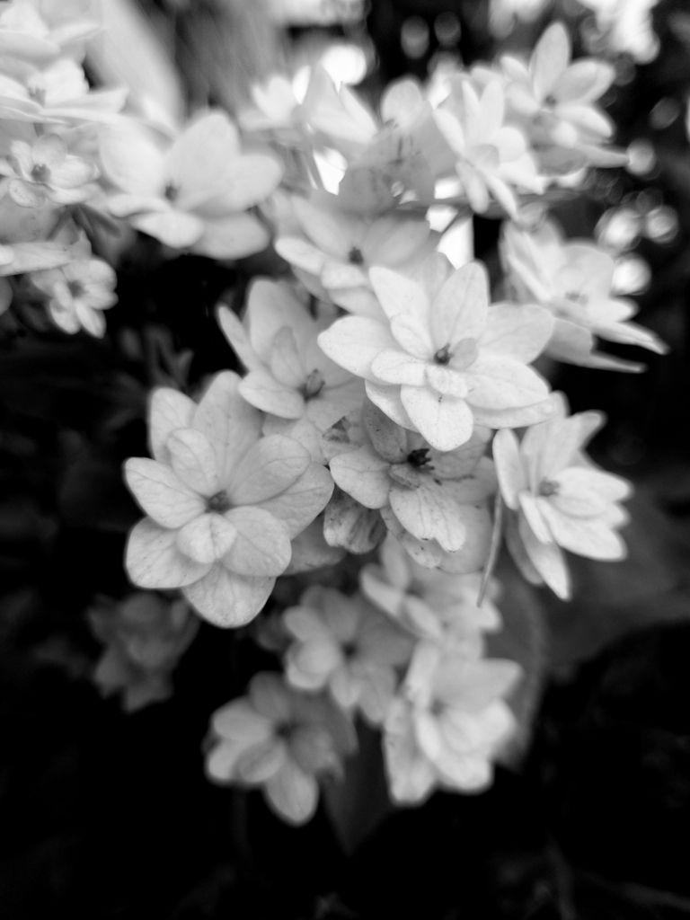 年明けましたよ