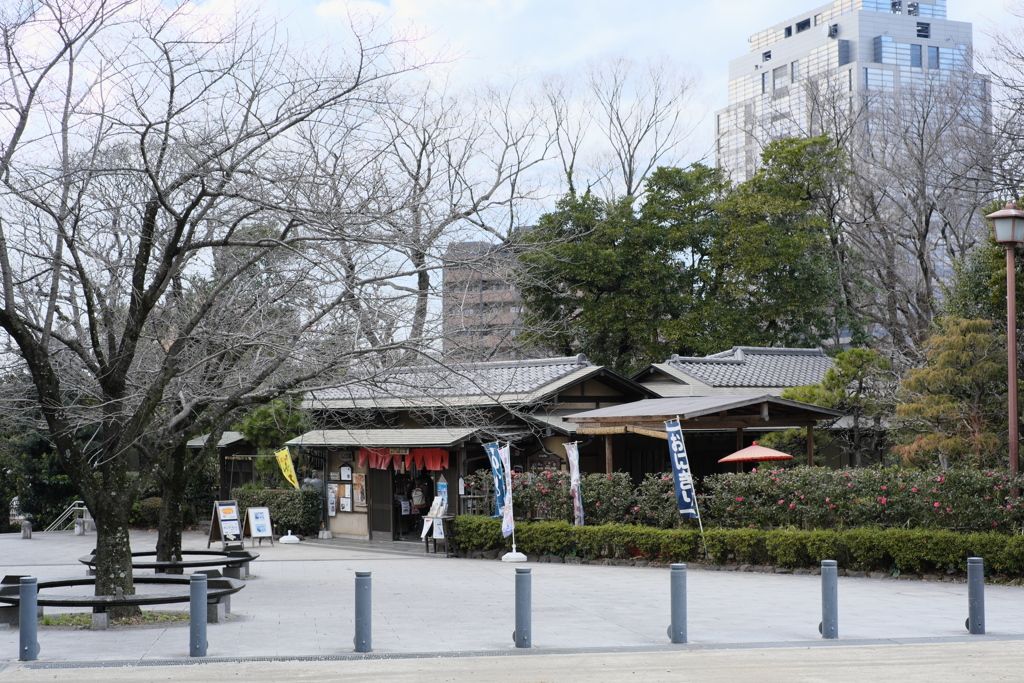 千葉城 II