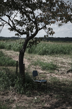 葦原の椅子