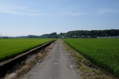 田園（１）