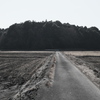 高田山城跡
