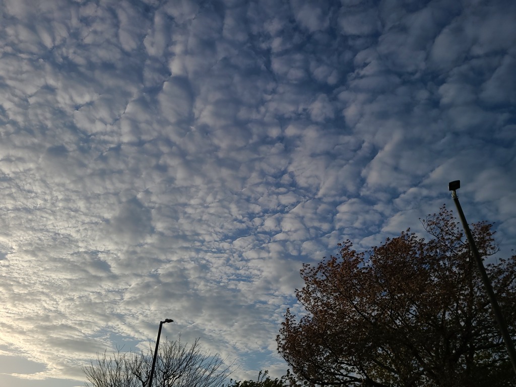 本日の夕雲