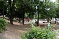 公園の午後