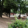公園の午後