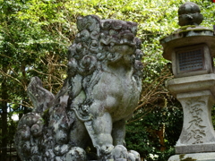 狛犬