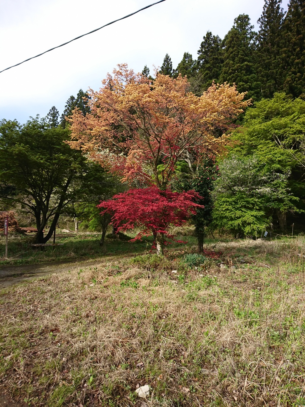 四時川周辺