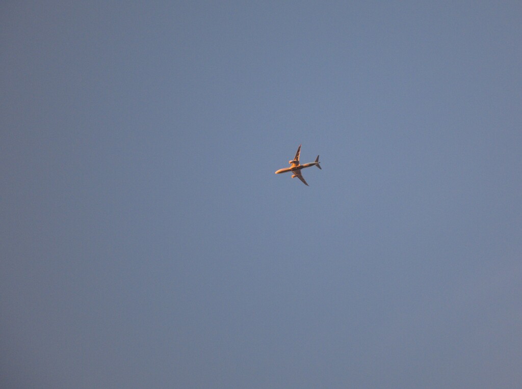 航空機(2)